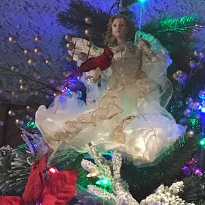 Meet your Posher, Tina